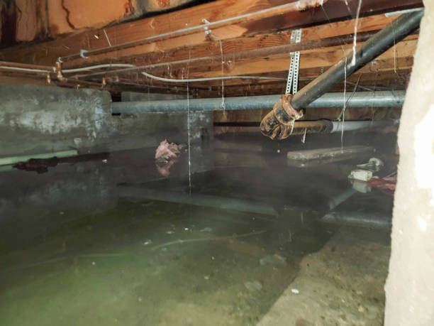 Trusted OH Water damage restoration Experts