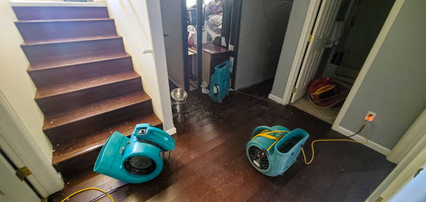 Best Local water damage restoration  in Hartville, OH