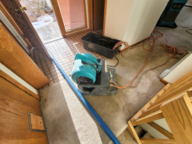 Best Water damage restoration services  in Hartville, OH